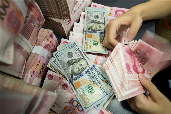 USD Flexes Muscle, Yuan Dips: What's Driving Vietnam's Currency Market Today?