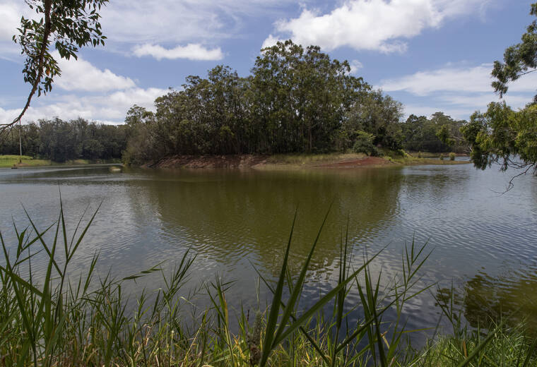 Hawaii Dam on High Alert: Wahiawa Faces Catastrophic Flood Threat