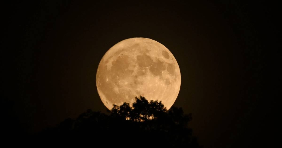 May's Lunar Double Feature: Unpacking the Rare Blue Micro Moon